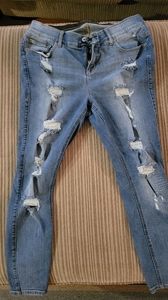 Torrid jeans